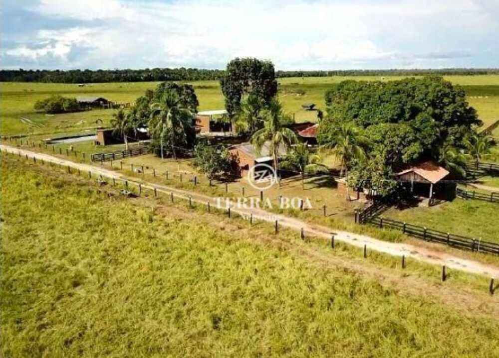 Fazenda-Sítio-Chácara, 400 hectares - Foto 8