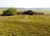 Fazenda, 400 hectares - Foto 2