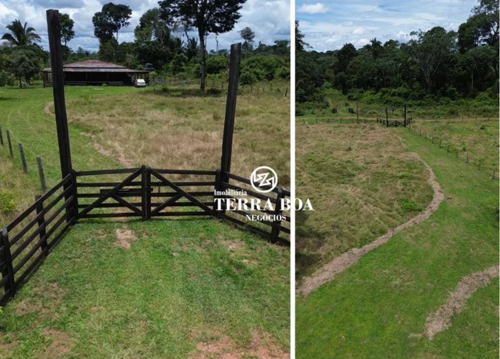 Sítio, 49 hectares - Foto 4