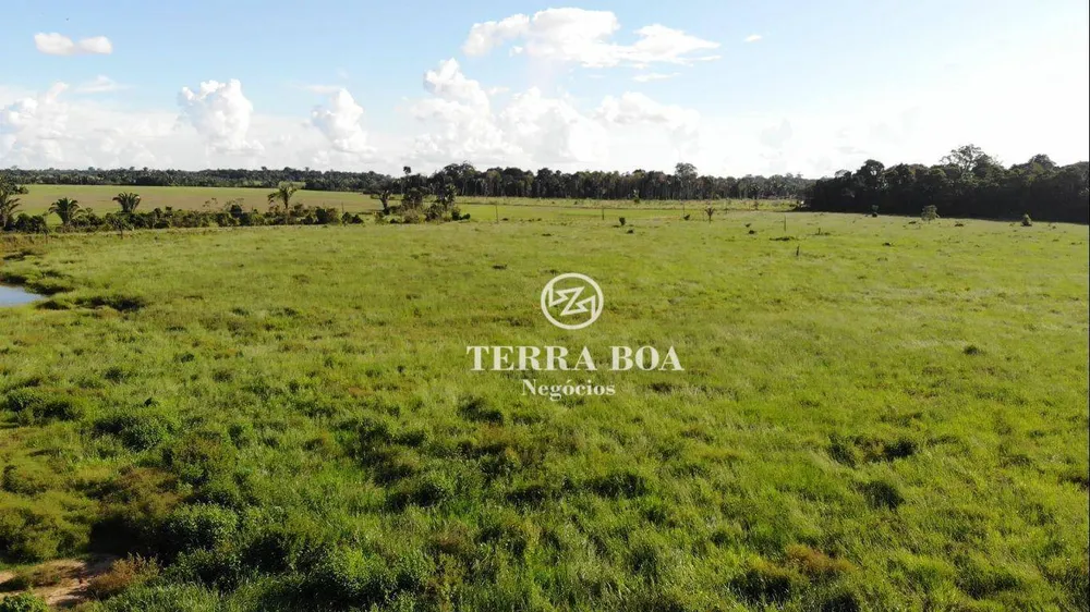 Fazenda, 200 hectares - Foto 4