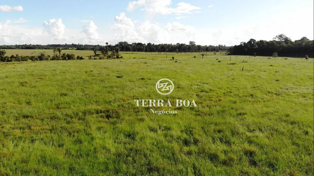Fazenda, 200 hectares - Foto 3