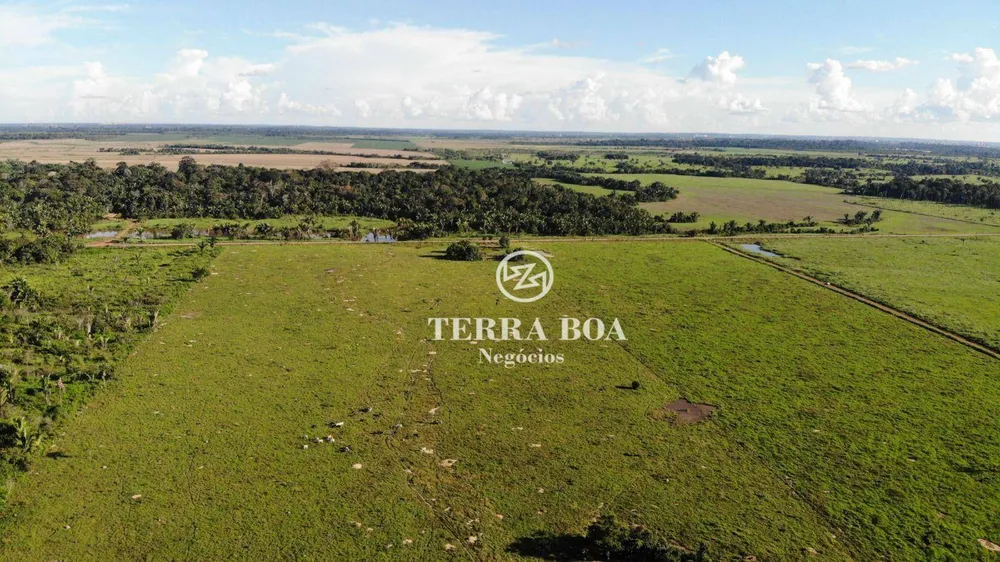 Fazenda, 200 hectares - Foto 11