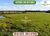 Fazenda, 200 hectares - Foto 1