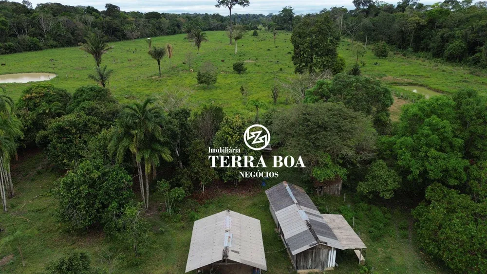 Chácara, 12 hectares - Foto 3