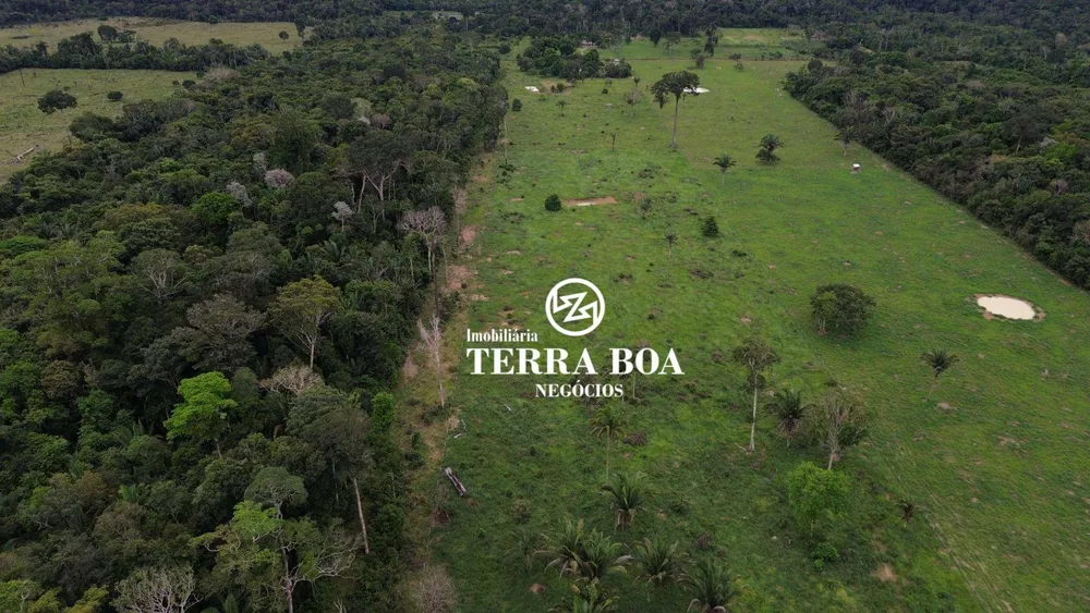 Chácara, 12 hectares - Foto 4