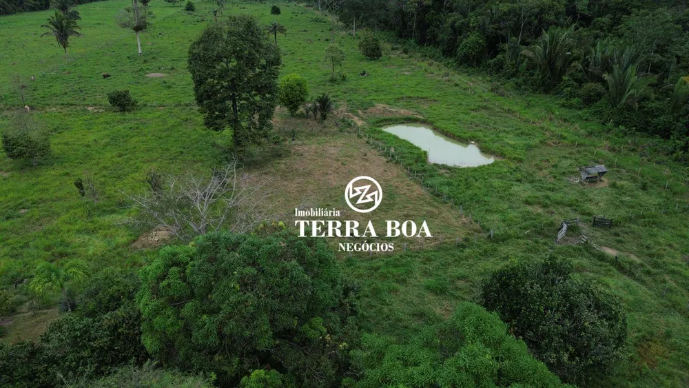 Chácara, 12 hectares - Foto 10