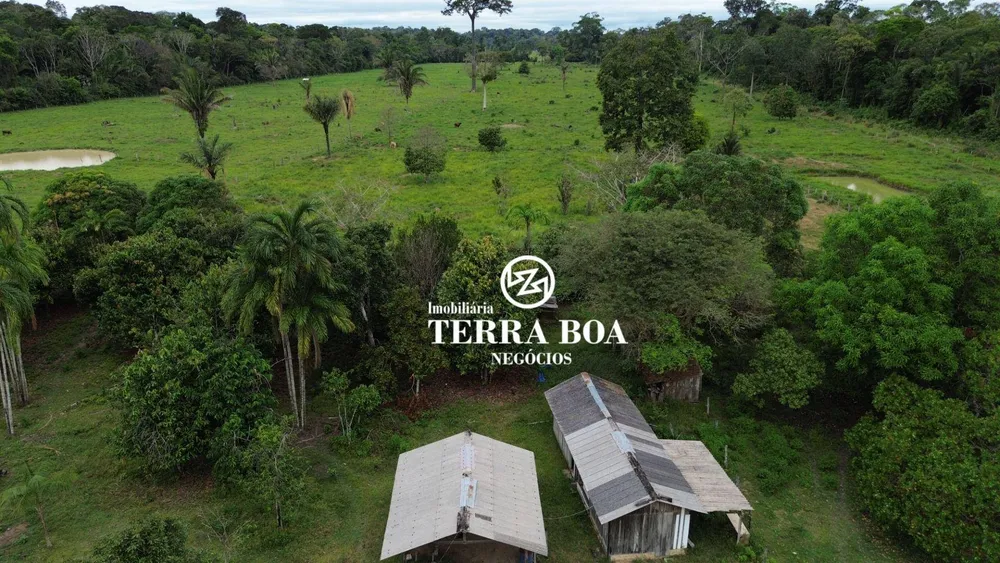 Chácara, 12 hectares - Foto 4