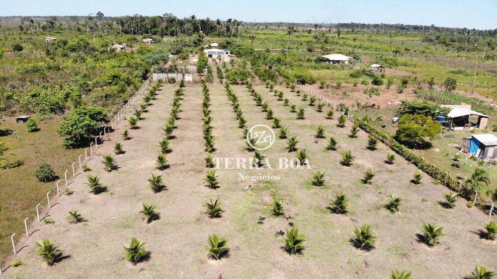 Chácara, 2 hectares - Foto 4