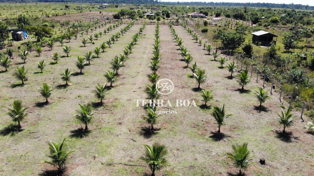 Chácara, 2 hectares - Foto 5