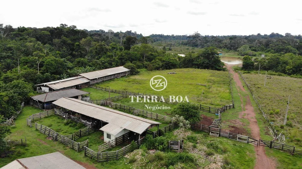Fazenda, 300 hectares - Foto 3