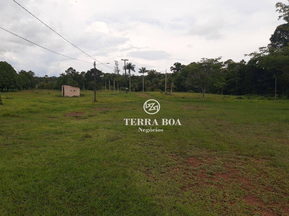 Fazenda-Sítio-Chácara, 300 hectares - Foto 6