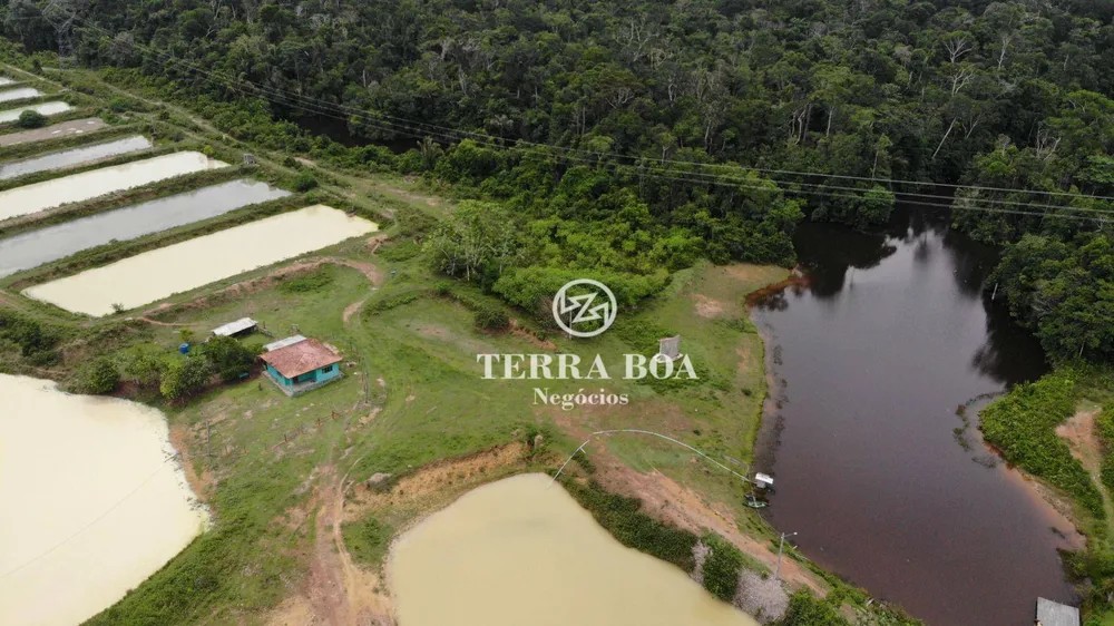 Fazenda, 300 hectares - Foto 6
