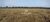 Sítio, 102 hectares - Foto 3