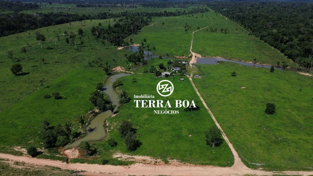 Fazenda, 270 hectares - Foto 7