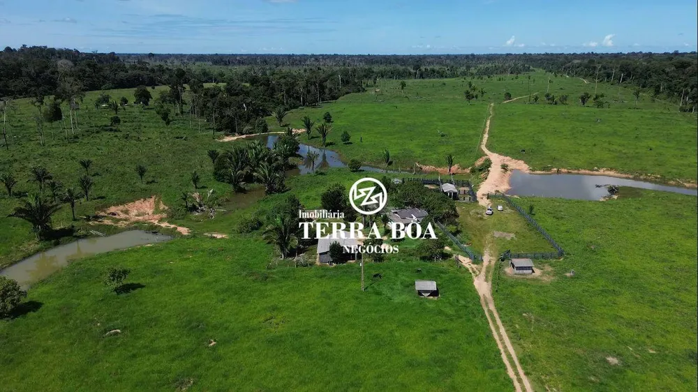 Fazenda, 270 hectares - Foto 8