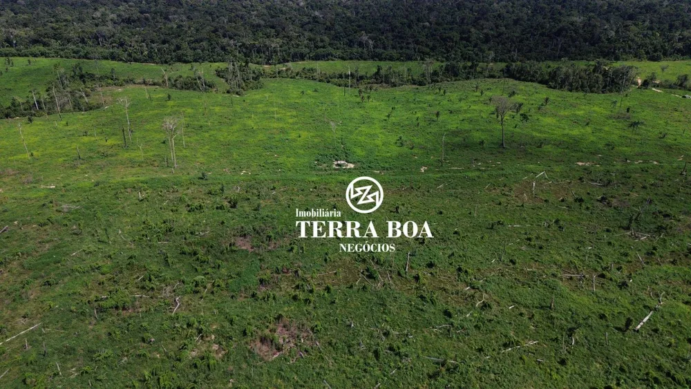 Fazenda, 270 hectares - Foto 4