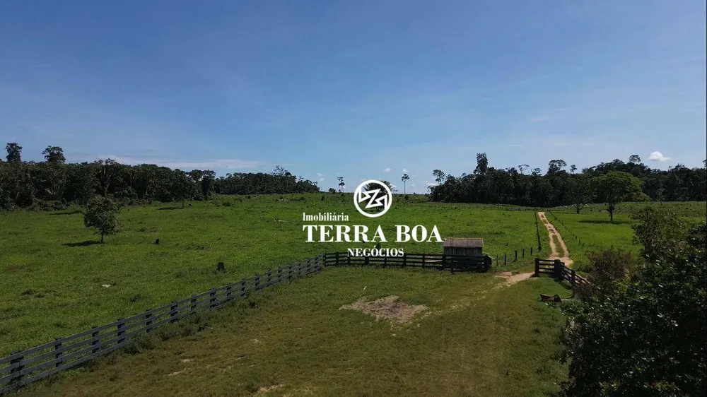 Fazenda, 270 hectares - Foto 11