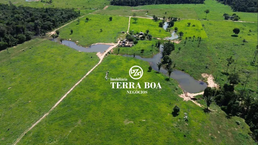 Fazenda, 270 hectares - Foto 10
