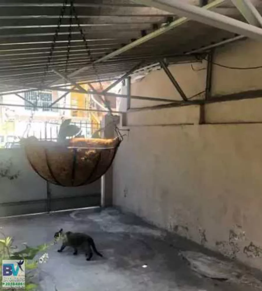 Casa, 5 quartos, 190 m² - Foto 4