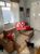 Casa, 2 quartos, 90 m² - Foto 4