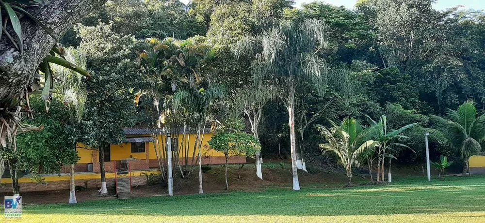 Sítio, 4000 m² - Foto 5