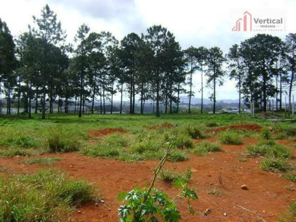 Terreno, 8163 m² - Foto 4