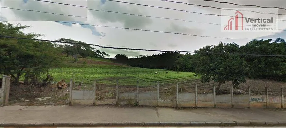 Terreno, 3 hectares - Foto 4