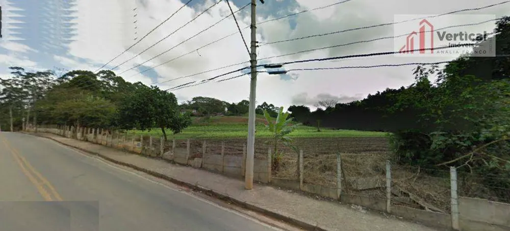 Terreno, 3 hectares - Foto 3