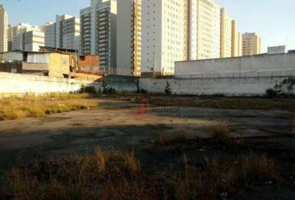 Terreno, 3080 m² - Foto 4