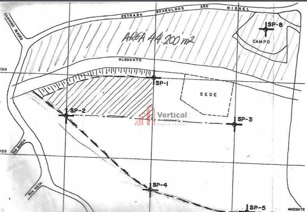 Terreno, 4 hectares - Foto 2