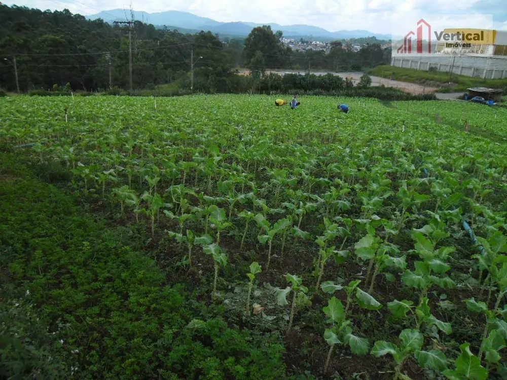 Terreno, 2 hectares - Foto 1