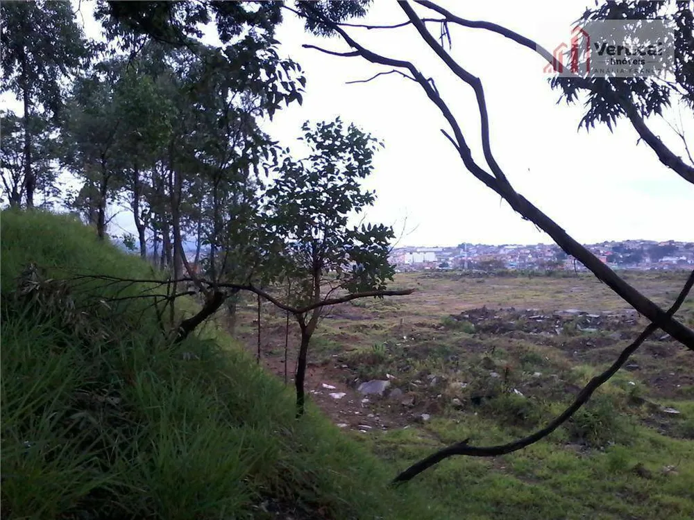 Terreno, 6 hectares - Foto 4