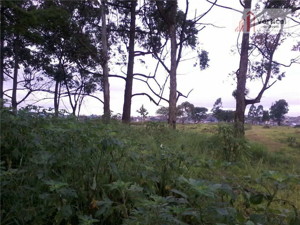 Terreno, 6 hectares - Foto 3