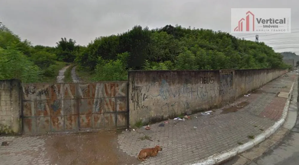 Terreno, 3 hectares - Foto 1