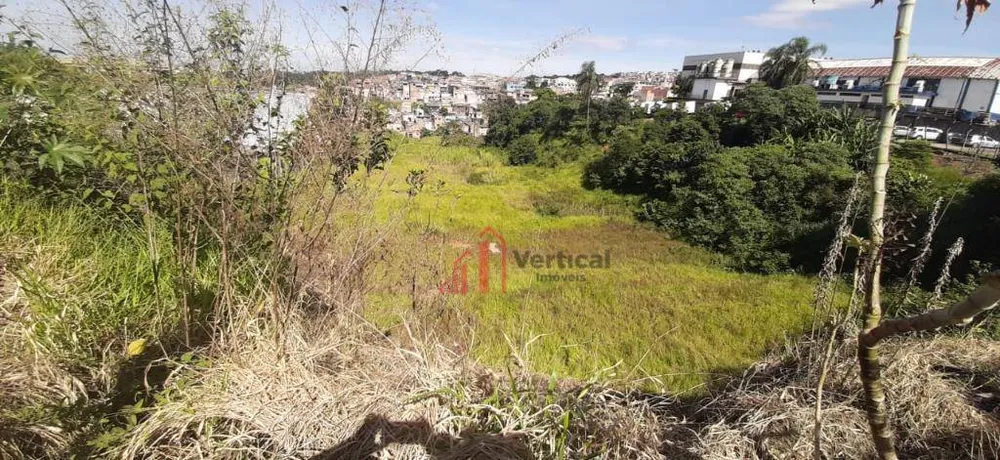 Terreno, 10000 m² - Foto 4