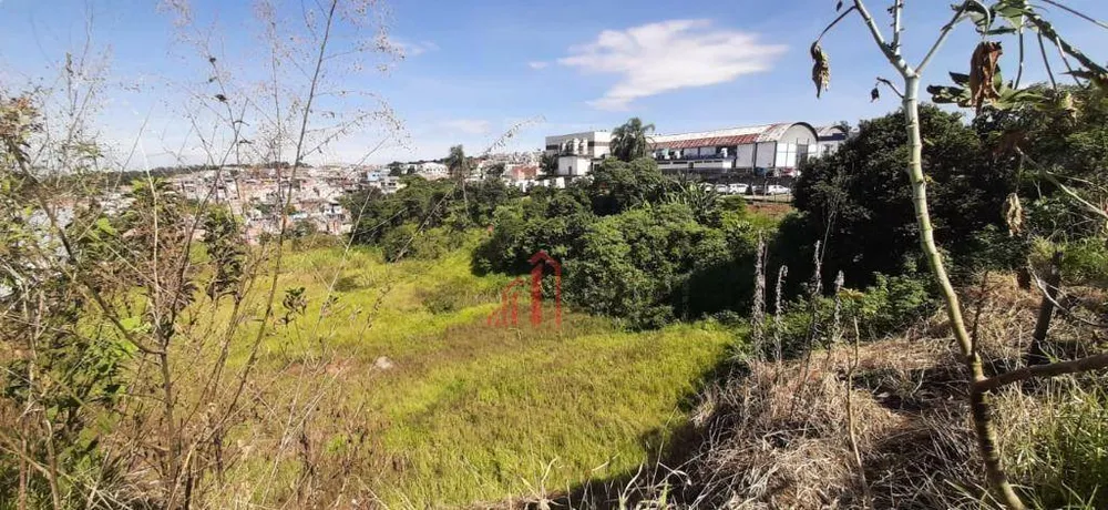 Terreno, 10000 m² - Foto 3