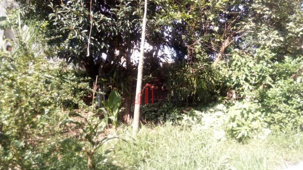 Terreno, 1000 m² - Foto 3