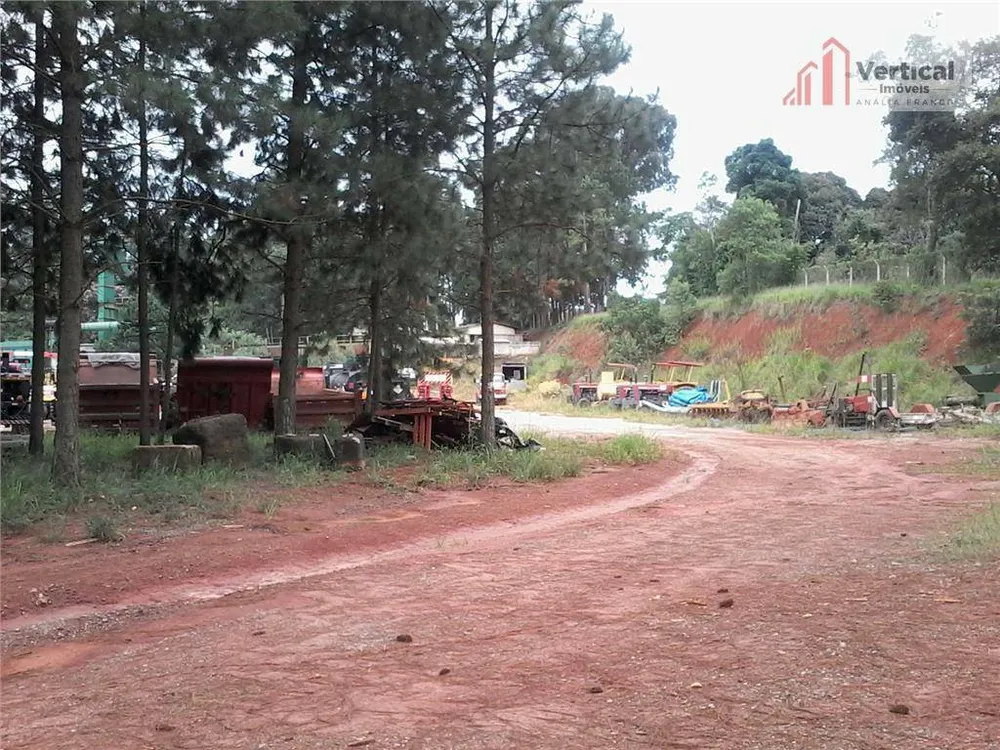 Terreno, 3 hectares - Foto 1