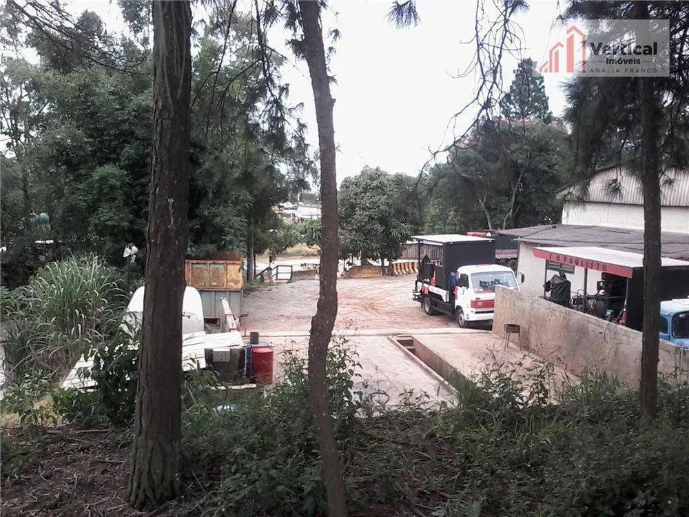 Terreno, 3 hectares - Foto 4