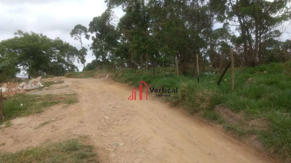 Terreno, 11 hectares - Foto 4