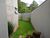 Casa, 4 quartos, 500 m² - Foto 19