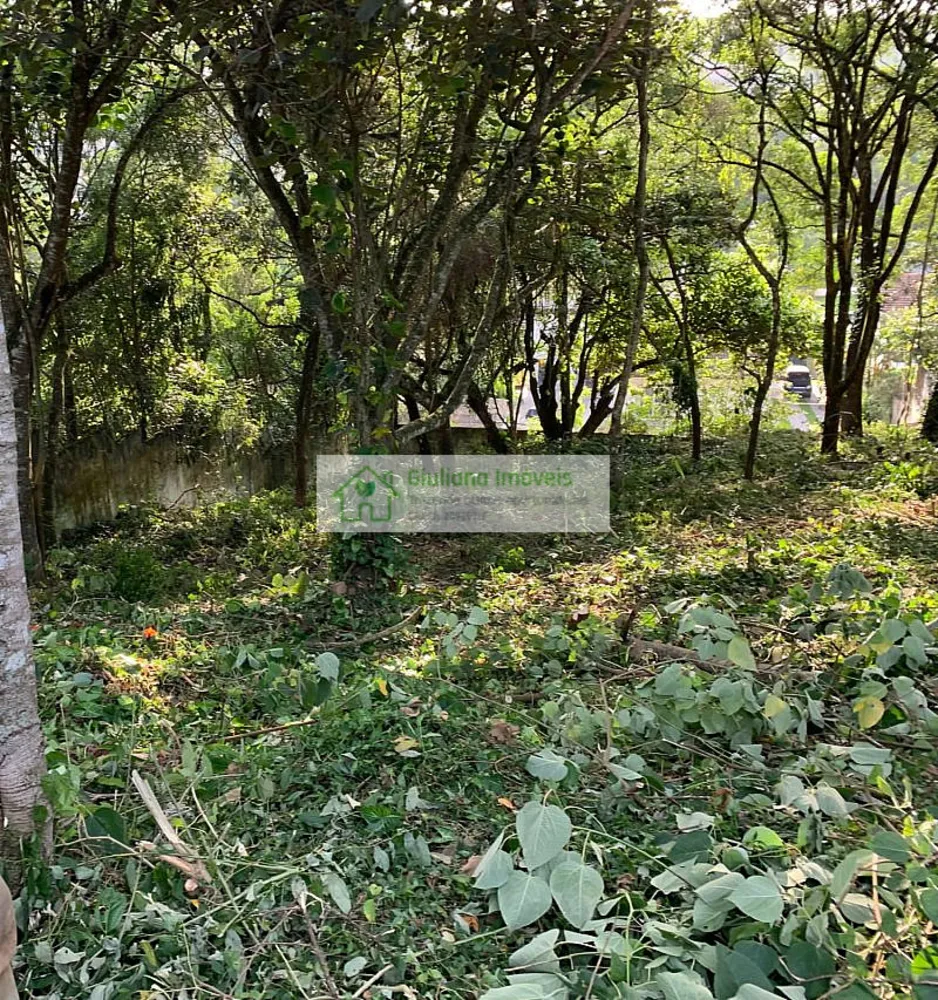 Terreno, 1005 m² - Foto 2