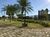 Apartamento, 3 quartos, 72 m² - Foto 2