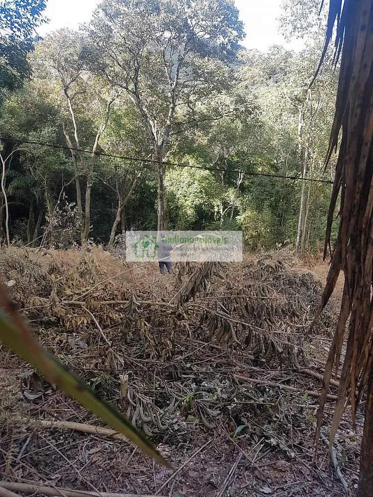 Terreno, 5000 m² - Foto 4