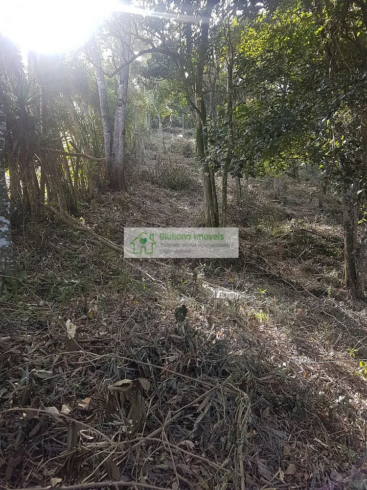 Terreno, 5000 m² - Foto 3