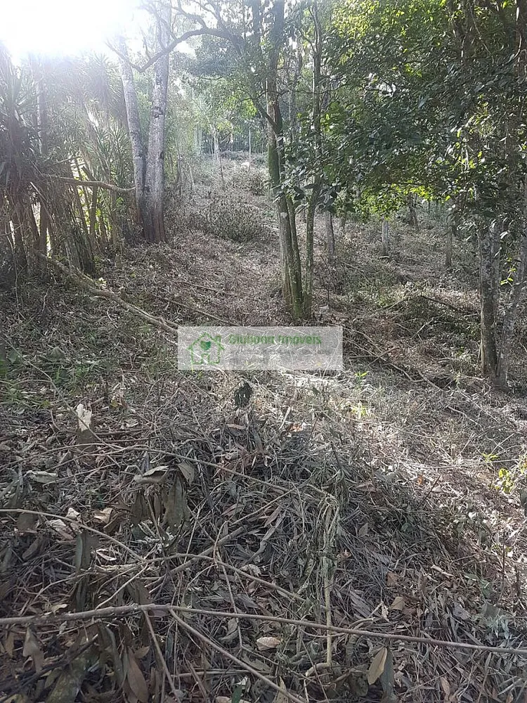 Terreno, 5000 m² - Foto 1
