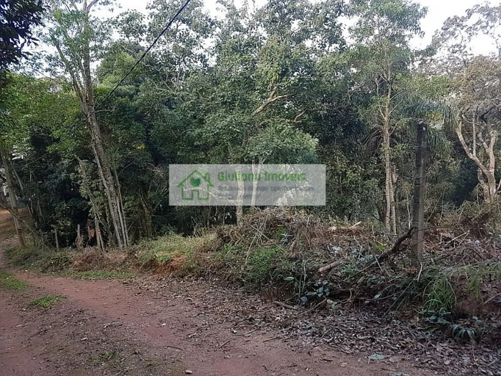 Terreno, 5000 m² - Foto 2
