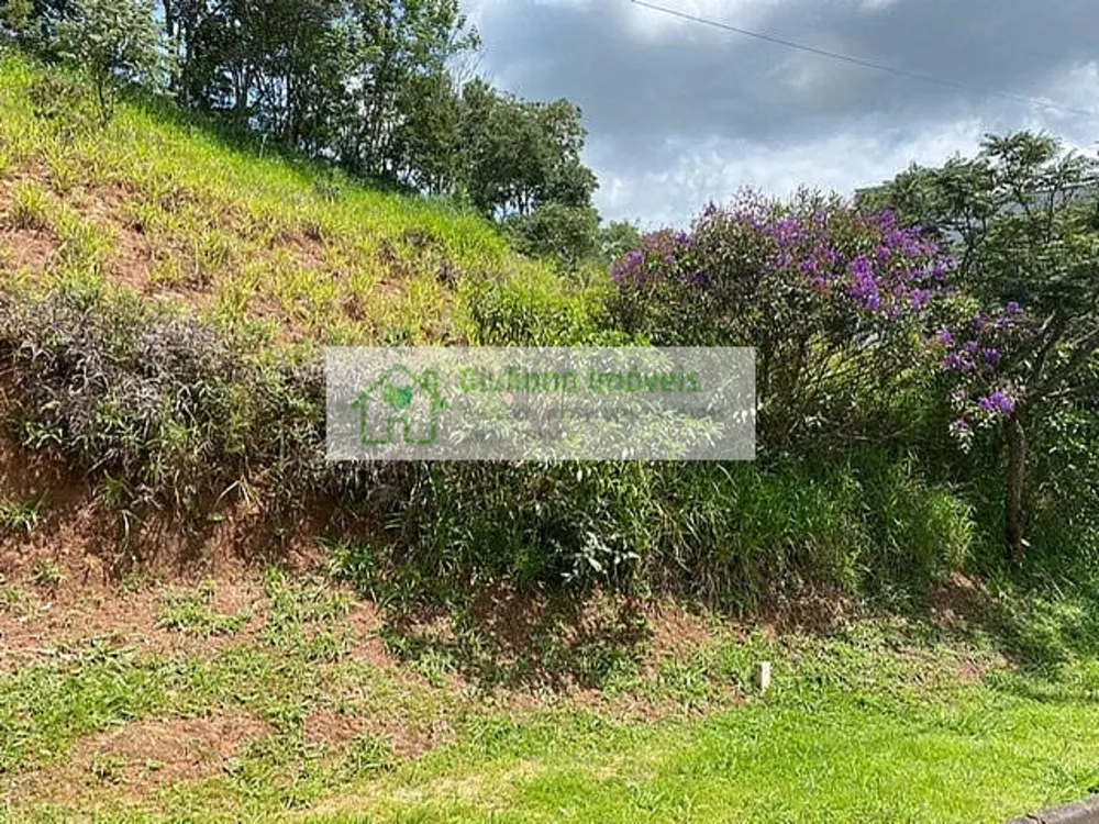 Terreno, 600 m² - Foto 7