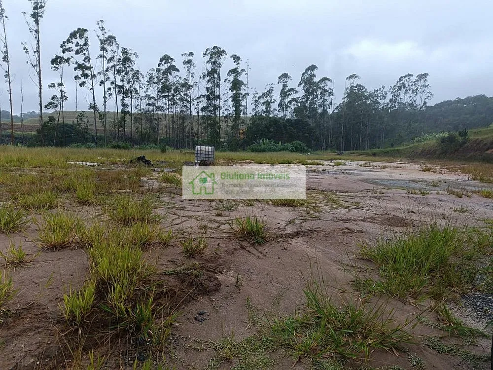 Depósito-Galpão, 4500 m² - Foto 8
