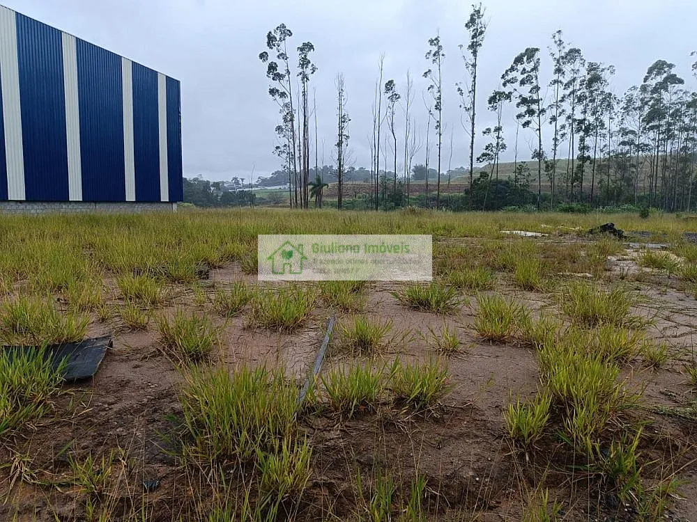 Depósito-Galpão, 4500 m² - Foto 9
